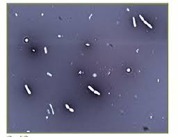 i have attached file 6