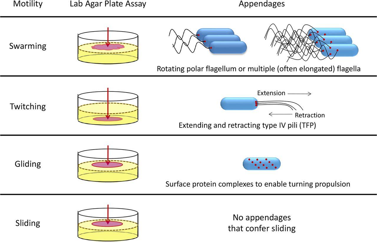 i have attached file 7