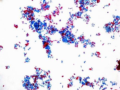 I have attached a file 2