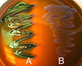 i have attached file 7