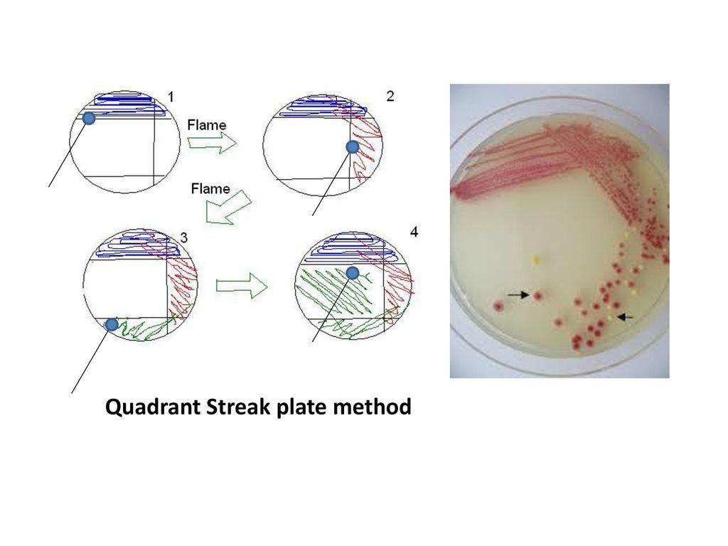 i have attached file 1