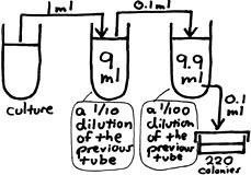 i have attached file 3