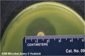 I have attached a file 3