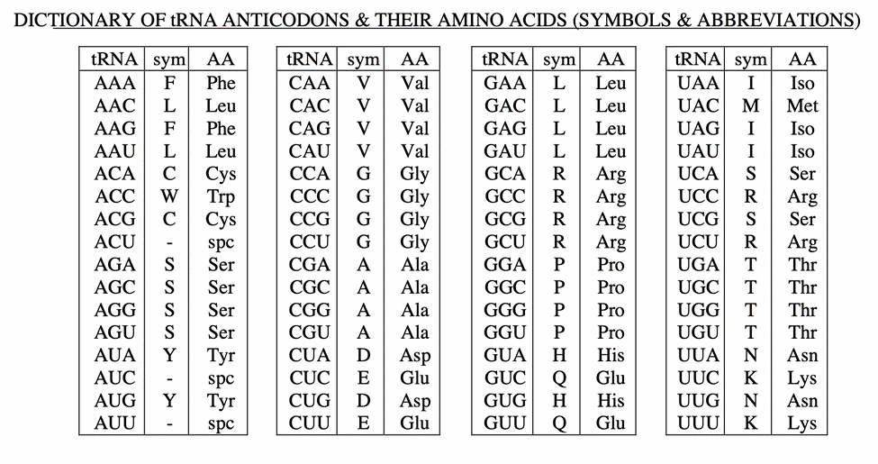 Complete practice lecture quiz 4