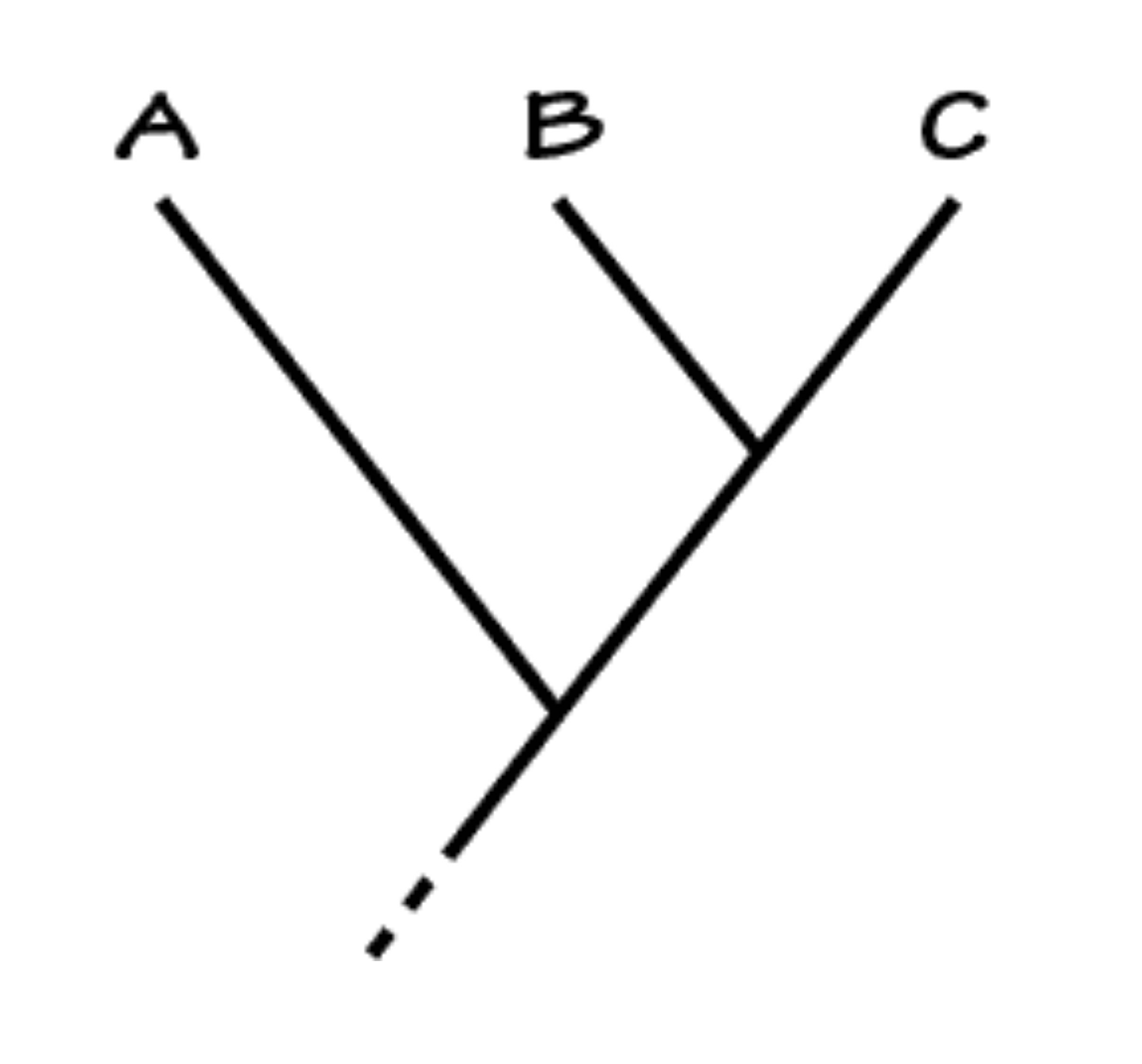 Anthropology class: Listen to lecture and read(2hr), Dissection post due on WEDNESDAY along with the quiz(1hr), Take the racism quiz(comes with a video)(1hr)(due Thursday)also will have to login on th 1