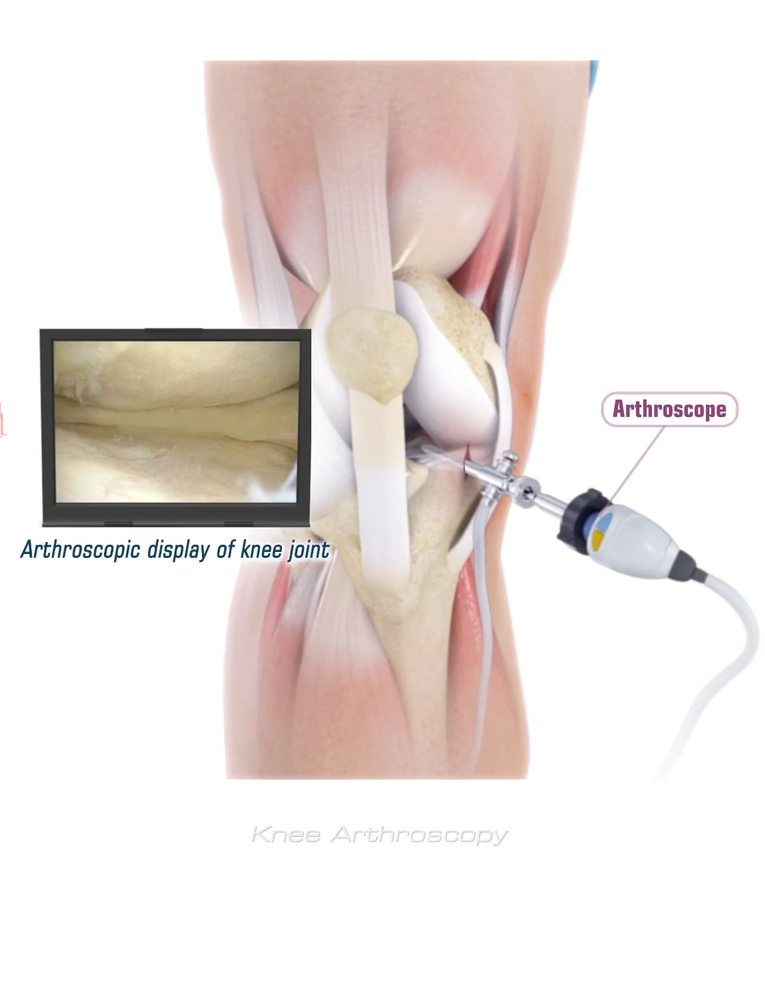 Hi, anyone who can help me with these finance related questions?  It's 4 questions and I don't expect much.  It's about Project evaluation etc. 1