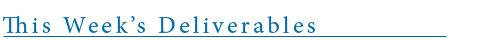 Continuity of Operations PlanningInitial Post Due: Thursday, by 11:55pm, ETInstructions: Your initial post should be at least 350 words. Providing essential services in the midst of a disaster is par 1