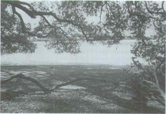 Please help with my homework  that I am trying to finish, but I am sorry I am not sure if I am doing it right.  Thank you: Here are the instructions: IntroductionFinal Project: The IntroductionThis we 1