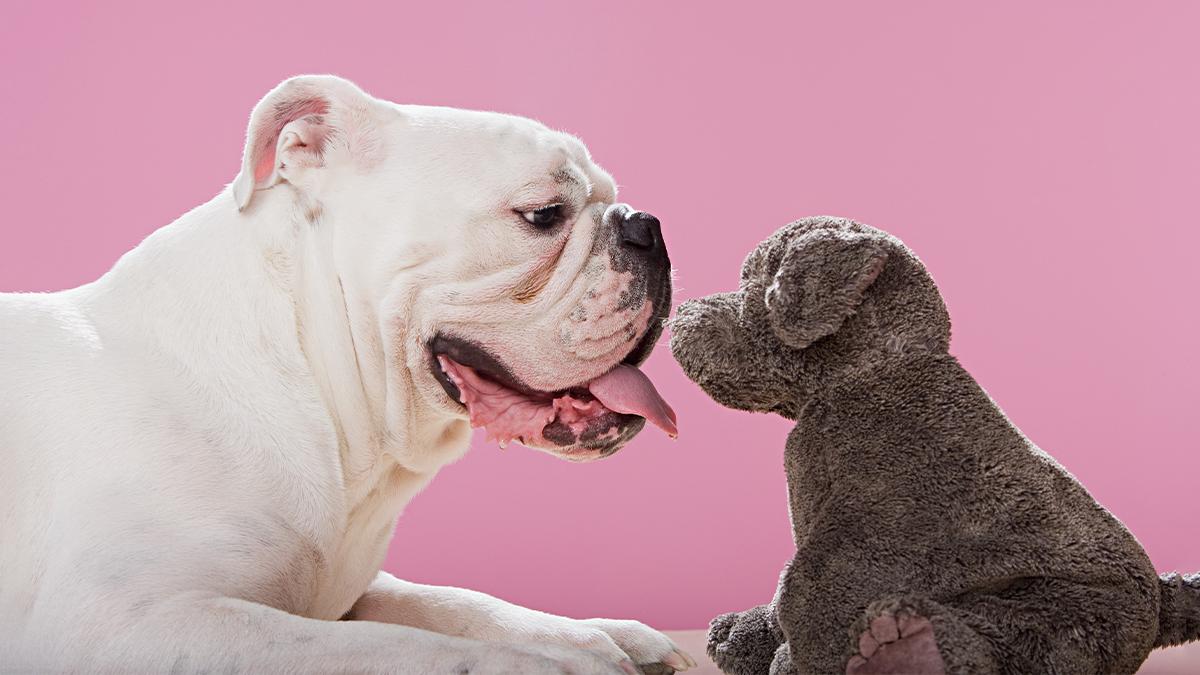 Hi , please see the attached 1