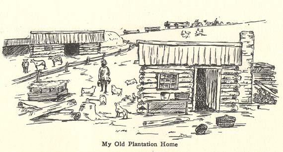 Slave Narratives collection You will complete a short (2.5-3 page) paper in which you will think about the list of questions below and construct a written response that answers those questions in an e 1