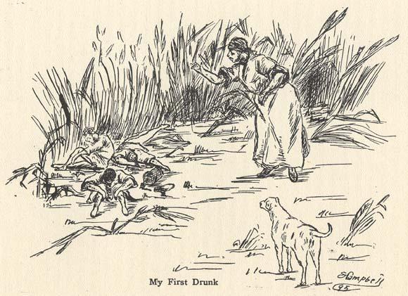 Slave Narratives collection You will complete a short (2.5-3 page) paper in which you will think about the list of questions below and construct a written response that answers those questions in an e 3