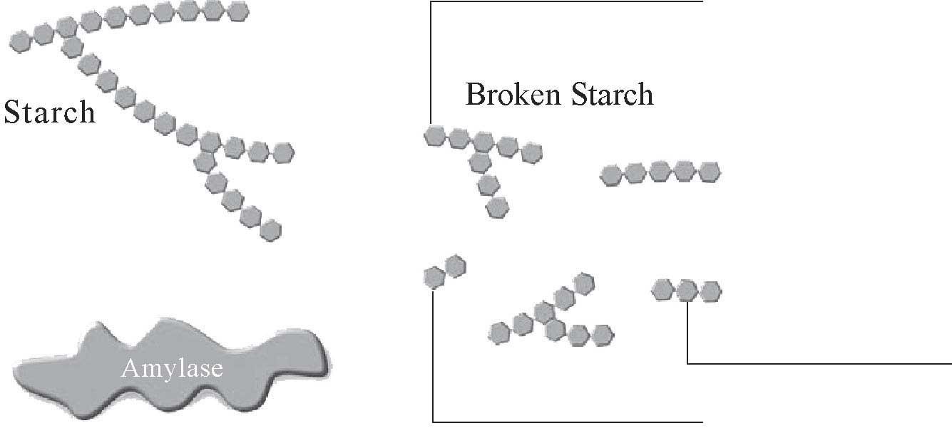 To successfully complete this assignment, follow the instructions below: ATTACHED IS THE WORKSHEETS PLEASE MAKE SURE THERE ALL WORD DOCUMENTS 1