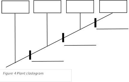 BioLab3   Taxonomy Lab Report 1