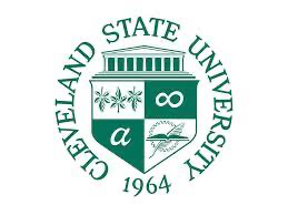 strength lab report, I attached all the info needed and file that i  started with the lab report already 1