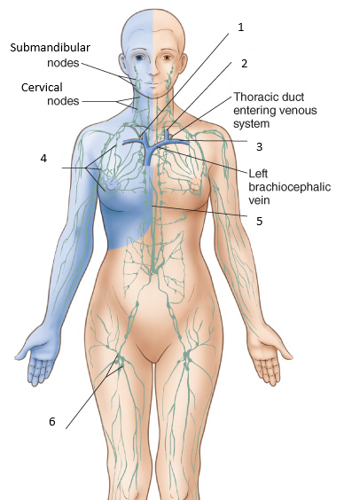 C:\Users\bruce\Downloads\SC2110_WK4_Worksheet_2018_V02 (1).docx 2