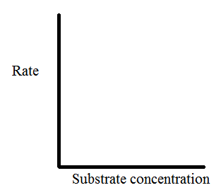 INTRODUCTION THE FUNCTION OF ENZYMES: DEVELOPING A TESTING A SCIENTIFIC HYPOTHESIS FOR INHERITED MUTATIONS IN THE ENZYME KINESIN Before... 5