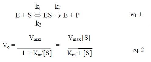 INTRODUCTION THE FUNCTION OF ENZYMES: DEVELOPING A TESTING A SCIENTIFIC HYPOTHESIS FOR INHERITED MUTATIONS IN THE ENZYME KINESIN Before... 9