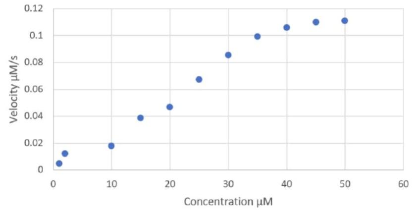 answer in simple and clearly 1