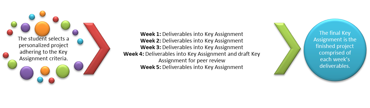 There are two companies to choose between: HealthcareX and ServiceY. HealthcareX has experienced rapid growth in both the size of patients as they transition from a paper-based organization into a dig 1