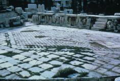 Write an essay in Word, using APA style. (Title page, Body of Paper, References Page) The essay should be approximately 500 words. Choose one of the following topics for your paper:Discuss the similar 6