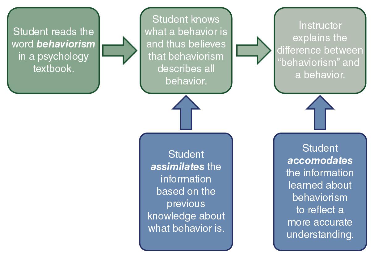  The Cognitivist Movement     Prior to engaging in this discussion, read Chapter 2: The Emergence of Cognitive Research, from your text, watch the video, TEDTalks: Peter Doolittle—How Your “W 6