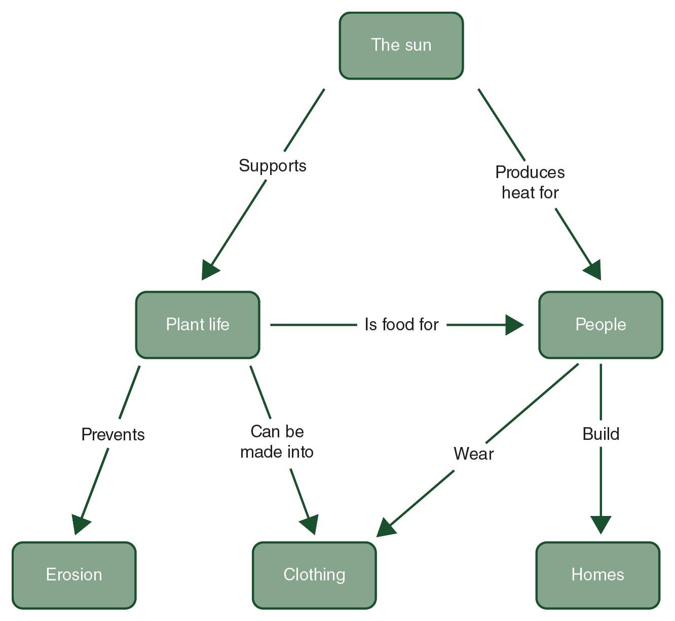  The Cognitivist Movement     Prior to engaging in this discussion, read Chapter 2: The Emergence of Cognitive Research, from your text, watch the video, TEDTalks: Peter Doolittle—How Your “W 12