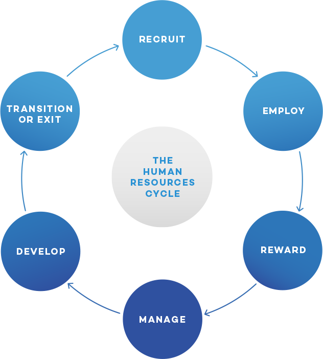 INSTRUCTIONSStep1 Organizationl StructureTake a look at the Organization Chart provided by the company.Based on your knowledge of hierarchies, would you say that this team has tall structure or flat s 4