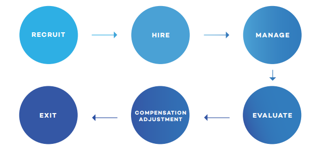 INSTRUCTIONSStep1 Organizationl StructureTake a look at the Organization Chart provided by the company.Based on your knowledge of hierarchies, would you say that this team has tall structure or flat s 3