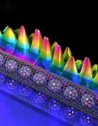 M8D1: Where Can I Find Nanotechnology Today?No unread replies. No replies. Carbon nanotechnology. Computer model of buckminsterfullerene (C60) balls in a carbon nanotube.The colored peaks show electr 1