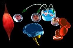 M6D1: Examining the Latest Research Using Stem CellsNo unread replies. No replies.Stem cells are the basis for every organ and tissue in our bodies. We continually rely on stem cells to replace and re 1