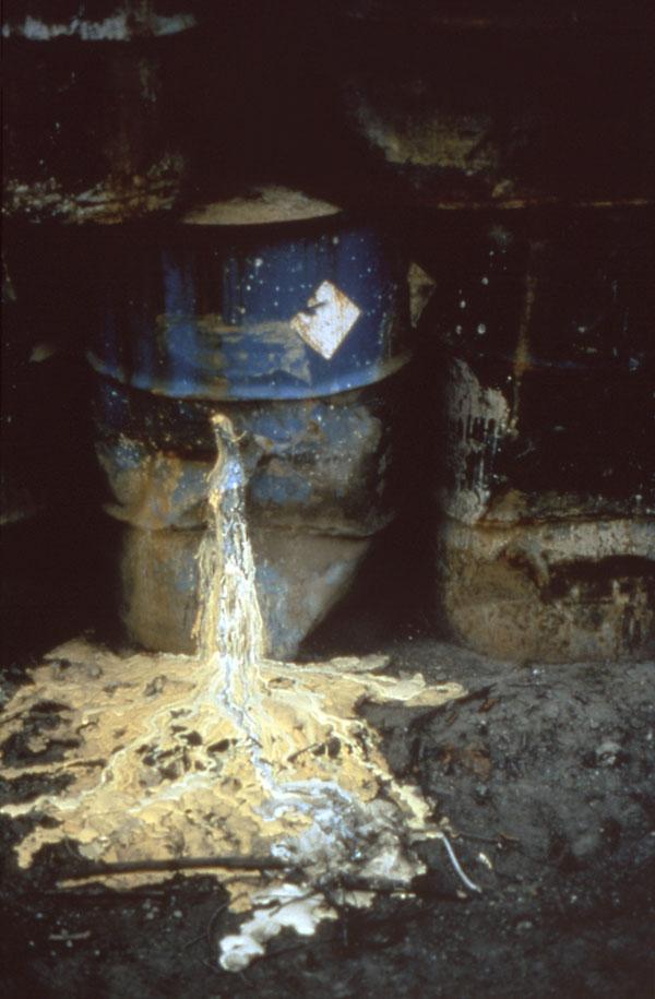 HCA415 Community & Public Health-WK2-A1 2