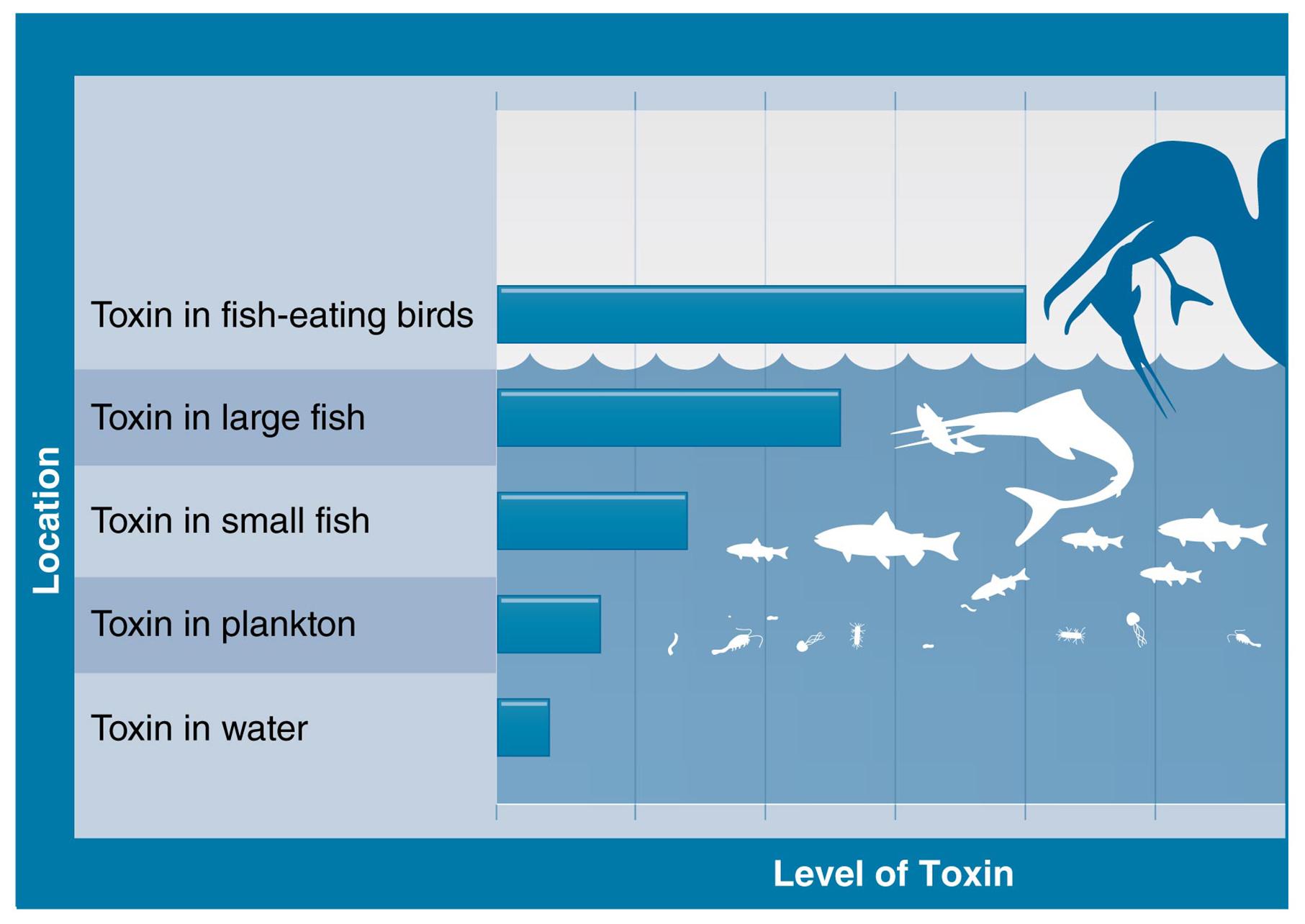 HCA415 Community & Public Health-WK2-A1 3