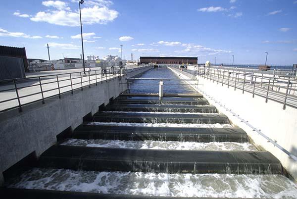 HCA415 Community & Public Health-WK2-A1 11