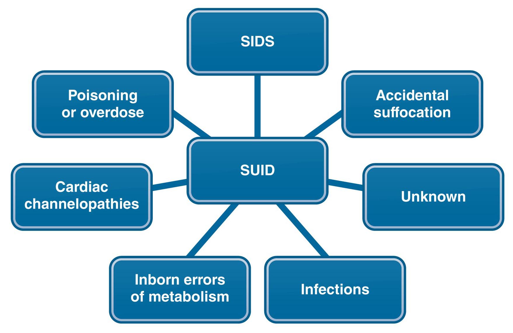 HCA415 Community & Public Health-WK2-A1 4