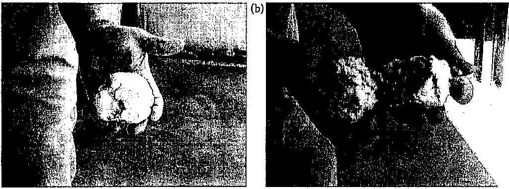 Weapons of mass destruction unit 6 13