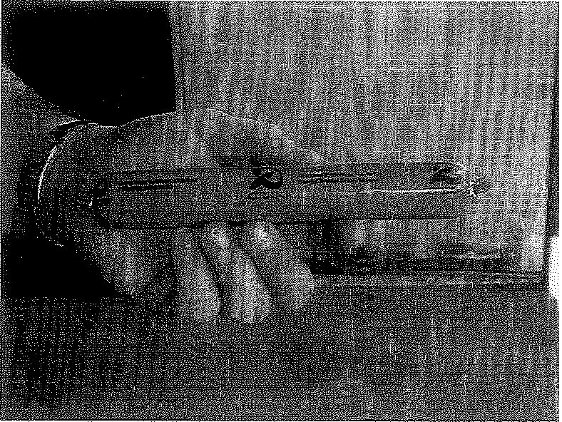 Weapons of mass destruction unit 6 15