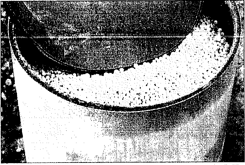 Weapons of mass destruction unit 6 16