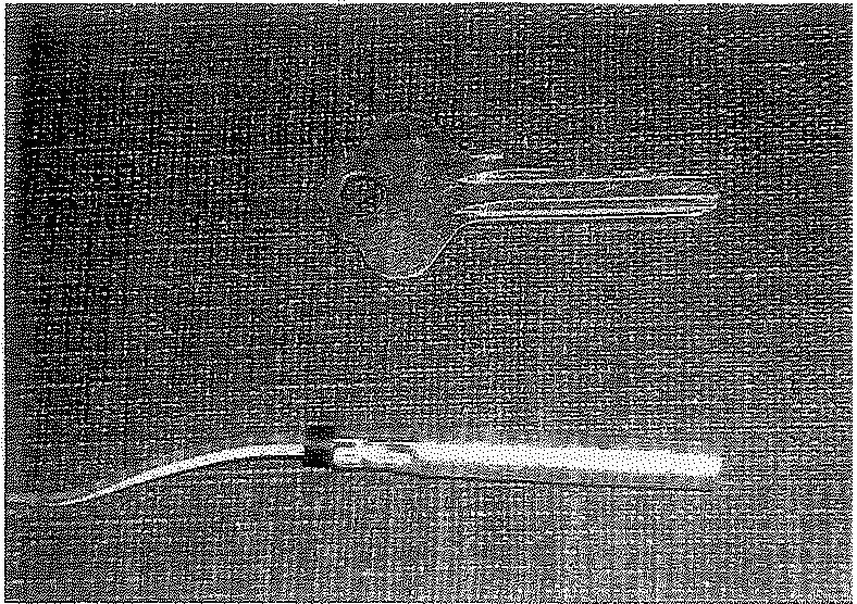 Weapons of mass destruction unit 6 17