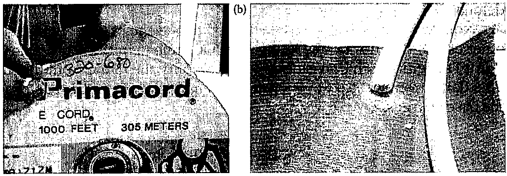 Weapons of mass destruction unit 6 18