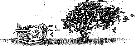 Weapons of mass destruction unit 6 22