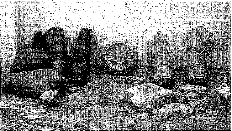 Weapons of mass destruction unit 6 25