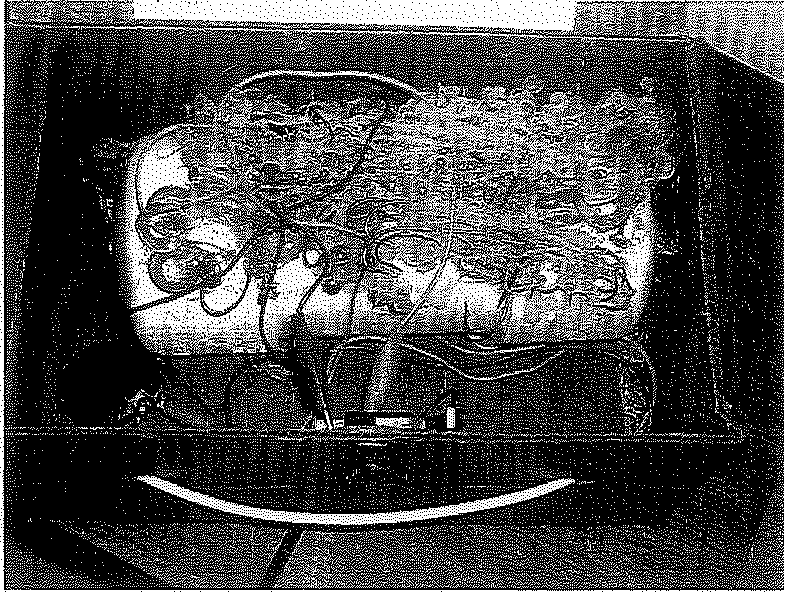 Weapons of mass destruction unit 6 26