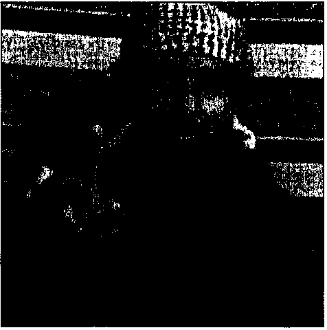 Weapons of mass destruction unit 6 29