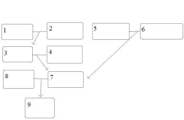 13 page essay (difficult) 1