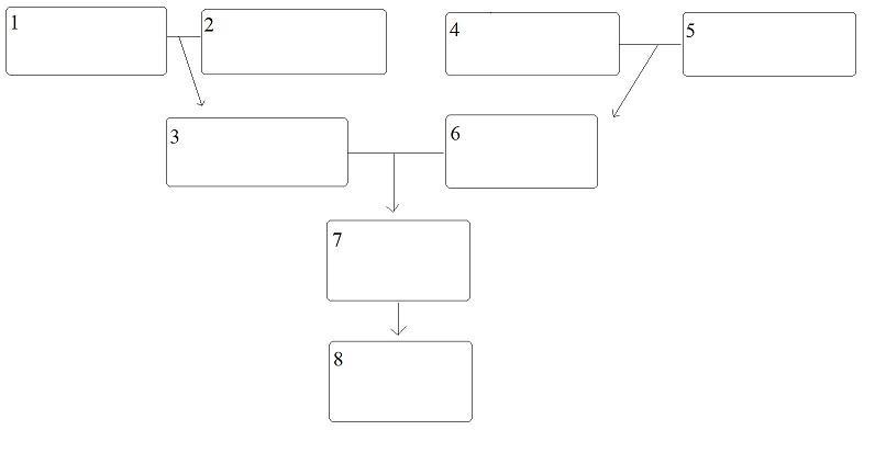 13 page essay (difficult) 2