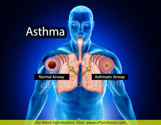 need help finishing a newsletter i have almost completed 5