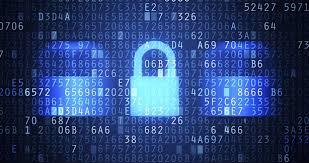 7-1 Final Project: CyberLeet Training ManualInstructionsBased on the feedback provided in the first two milestones, revise Sections One through Three and complete Section Four to finish your training 3