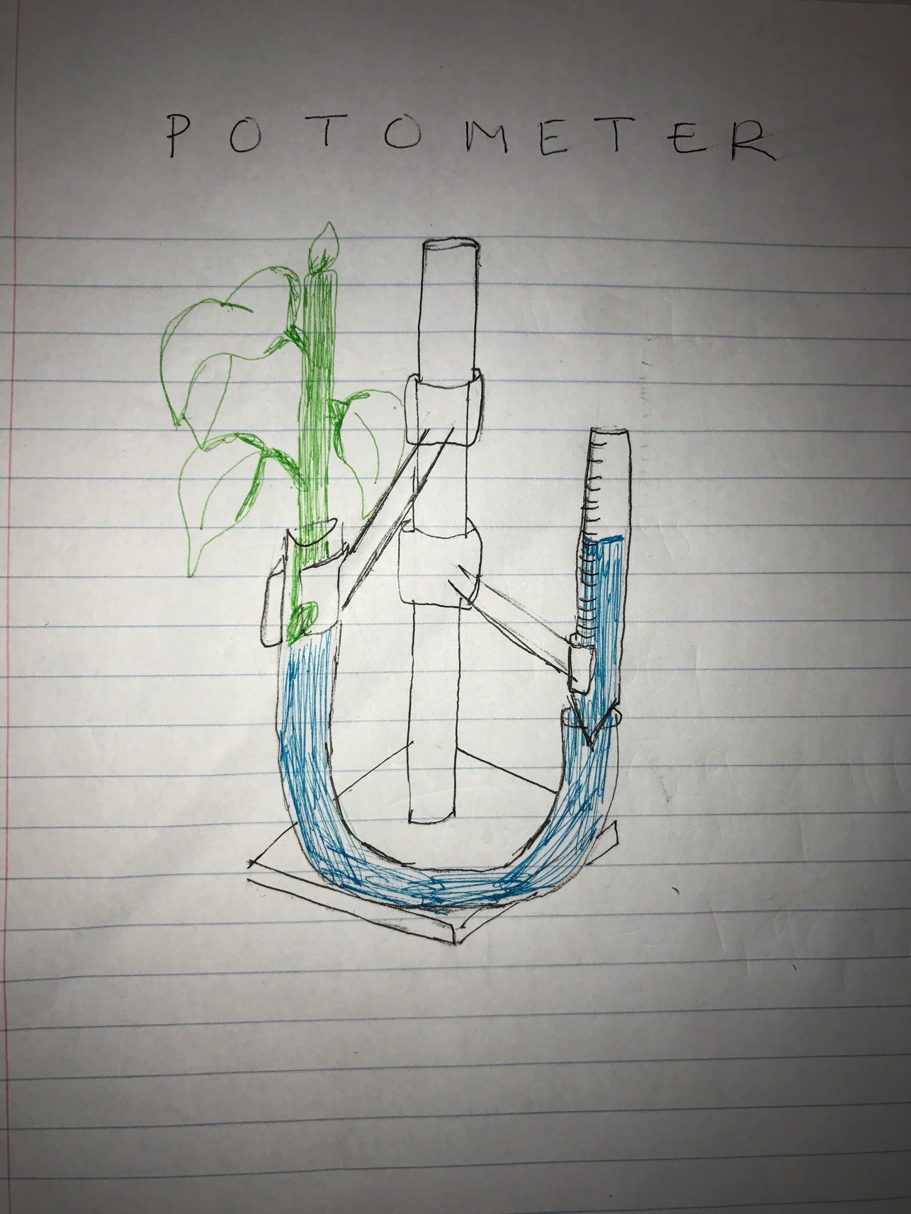 The scientific paper for plant plant physiology experiment 2