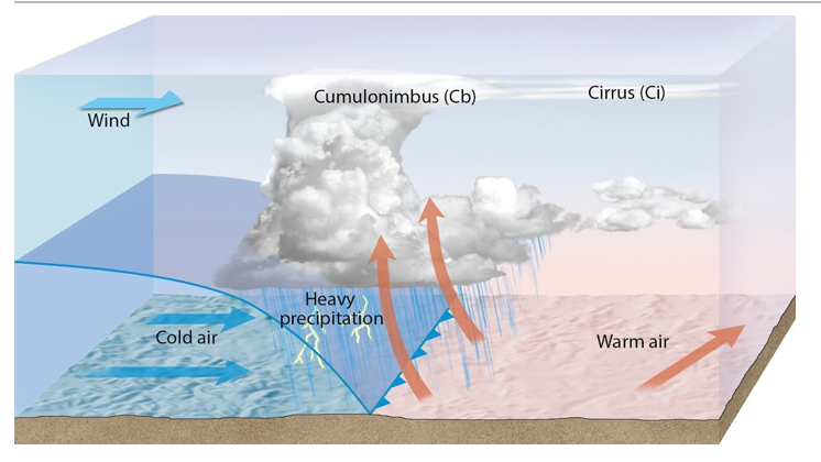 Who Can you provide A+ work? 1