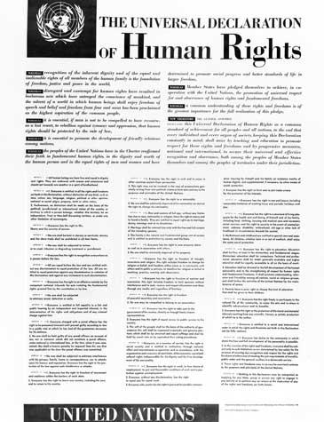 Read the United Nation's Universal Declaration of Human Rights. the file is attached below 1